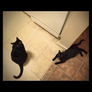 Thanks For Visiting My Closet!!